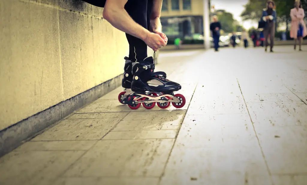 蛇板入門：上手度解析與注意事項